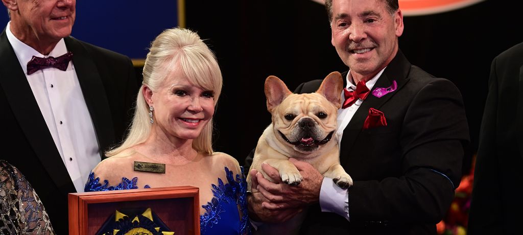 National Dog Show 2022: See the best in show, group winners